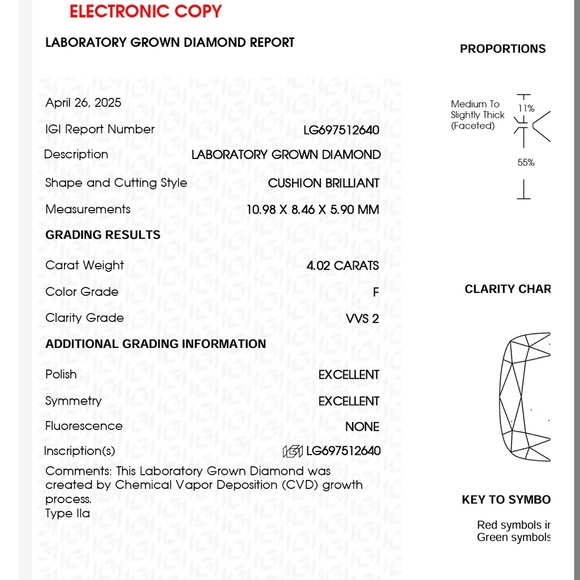 4.02 carat F VVS2 cushion diamond engagement ring baguette band - Picture 5 of 11